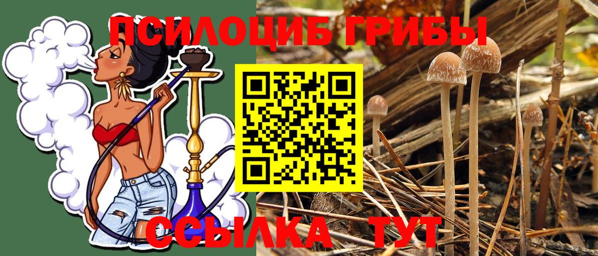 Псилоцибиновые грибы Magic Shrooms  Вход с VPN  наркотики  Энгельс  Галлюциногенные грибы ЛСД 